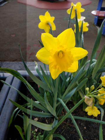 img_20230315_074600.jpg Thumbnail