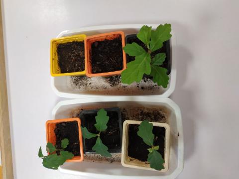 img_20230315_074648.jpg Thumbnail